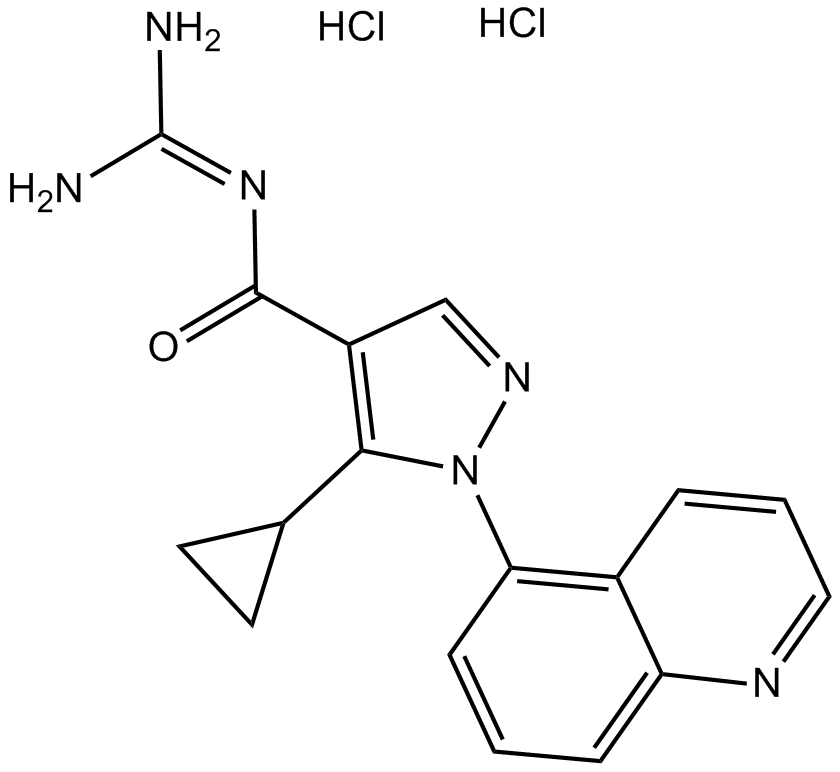 Zoniporide dihydrochloride图片