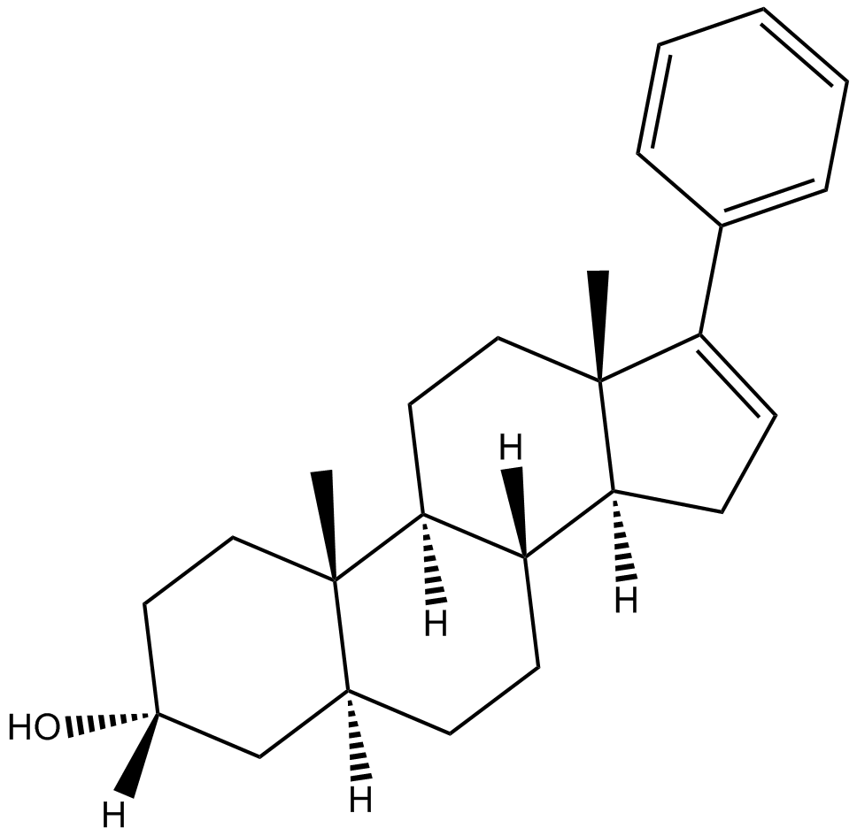 17-PAͼƬ