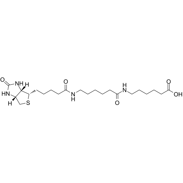 Biotin-C5-amino-C5-aminoͼƬ