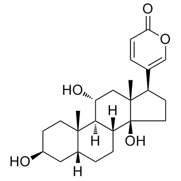 Gamabufotalin(Gamabufagin)ͼƬ