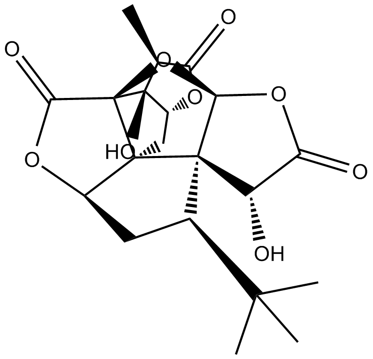 Ginkgolide AͼƬ