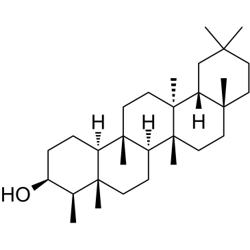 EpifriedelanolͼƬ