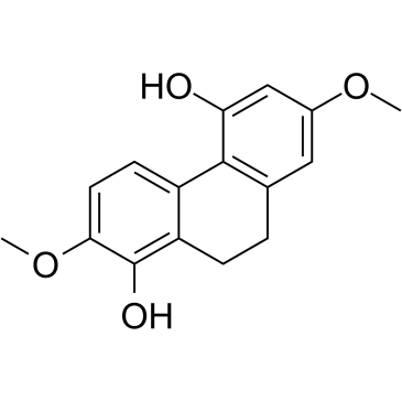 EulophiolͼƬ