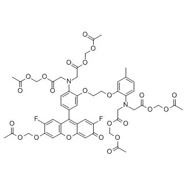 Fluo-4 AMͼƬ