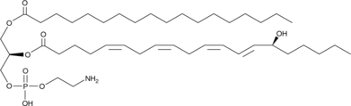 1-Stearoyl-2-15(S)-HETE-sn-glycero-3-PEͼƬ