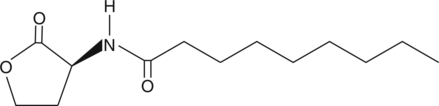 N-nonanoyl-L-Homoserine lactoneͼƬ