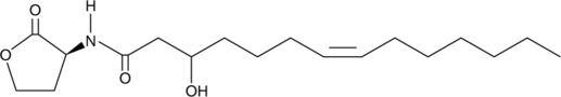 N-(3-hydroxy-7-cis tetradecenoyl)-L-Homoserine lactoneͼƬ