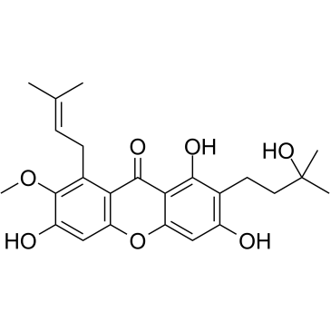 CratoxyloneͼƬ