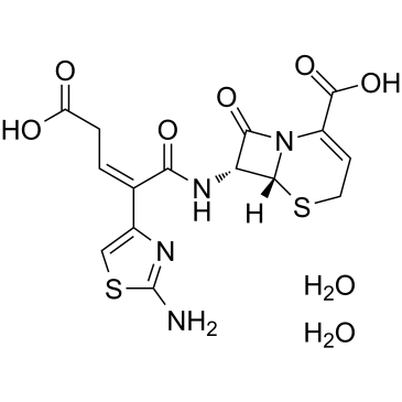 Ceftibuten dihydrateͼƬ