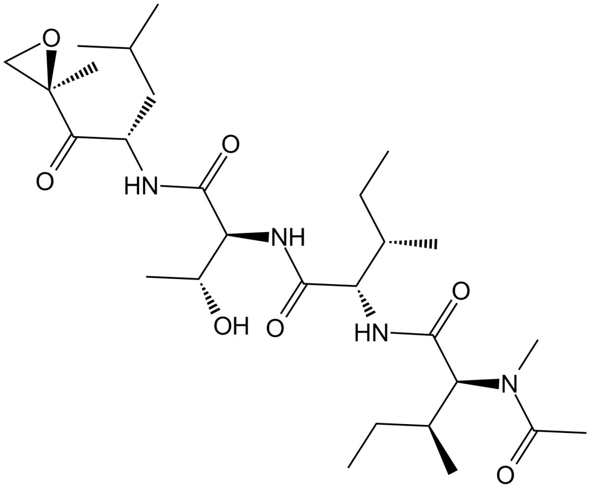 EpoxomicinͼƬ