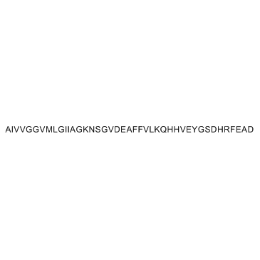 Amyloid β Peptide(42-1)(human)ͼƬ