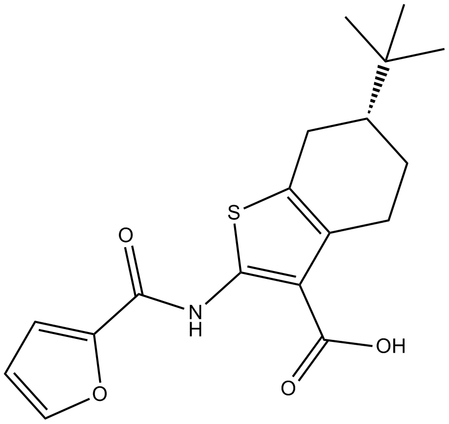 CaCCinh-A01图片