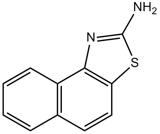 SKA 31ͼƬ