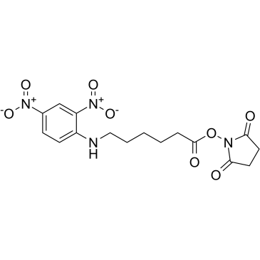 DNP-X,SE图片