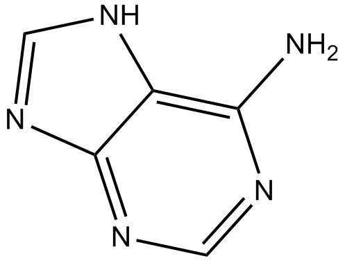 AdenineͼƬ