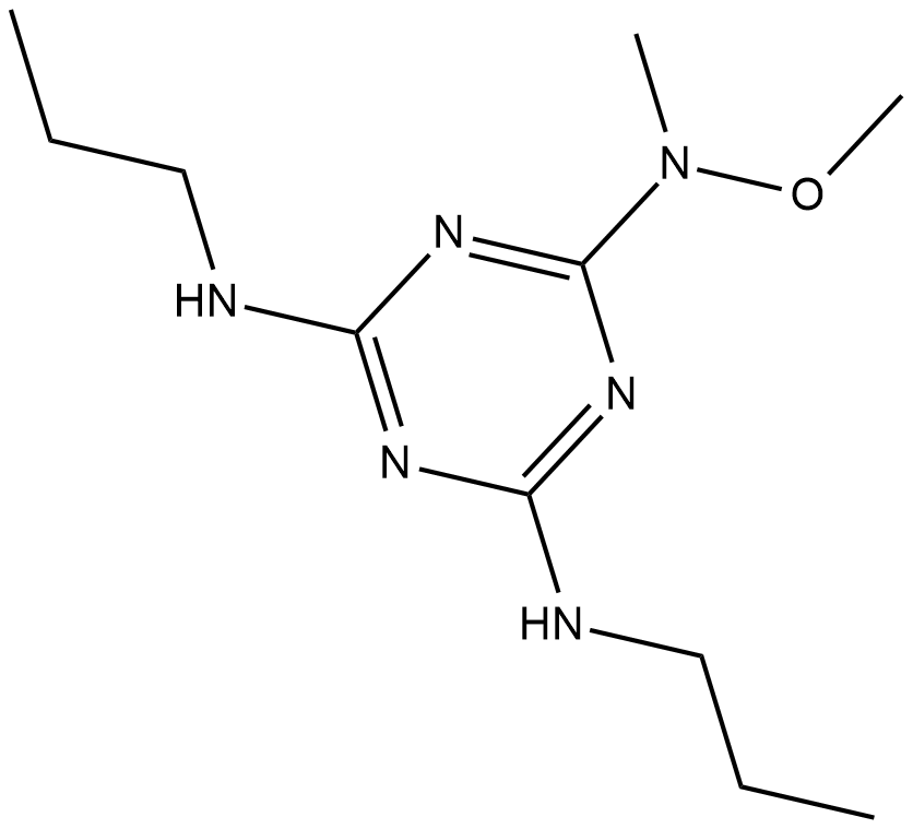 GAL-021ͼƬ