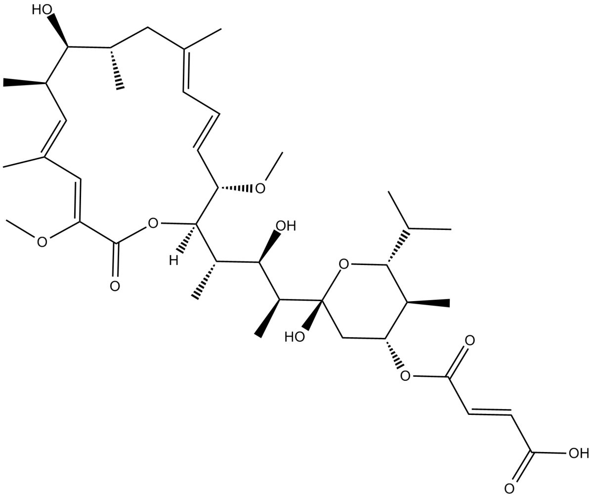 Bafilomycin C1ͼƬ