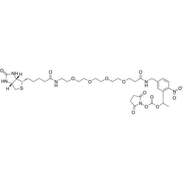 PC-Biotin-PEG4-NHS carbonateͼƬ