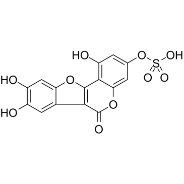 Demethylwedelolactone SulfateͼƬ