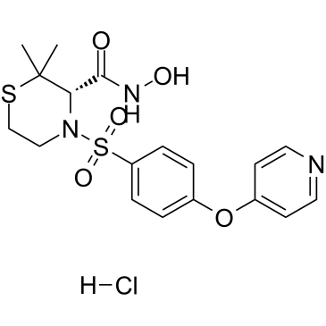 Prinomastat hydrochlorideͼƬ