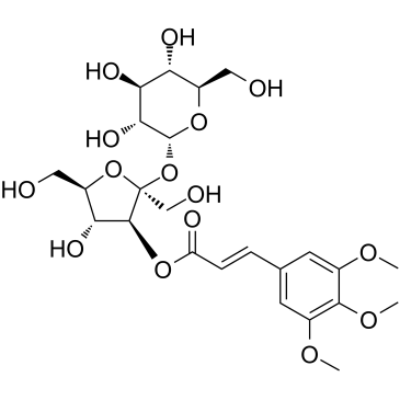 Glomeratose AͼƬ