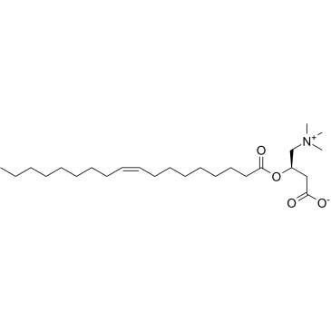 Oleoylcarnitine图片