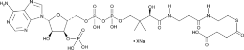 Succinyl-Coenzyme A(sodium salt)图片