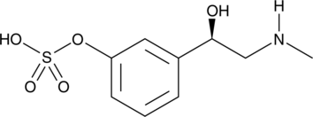 Phenylephrine-3-O-Sulfate图片