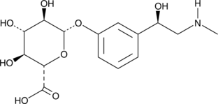 Phenylephrine GlucuronideͼƬ