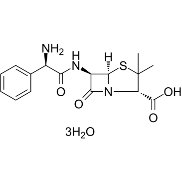 Ampicillin(trihydrate)ͼƬ