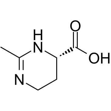 EctoineͼƬ