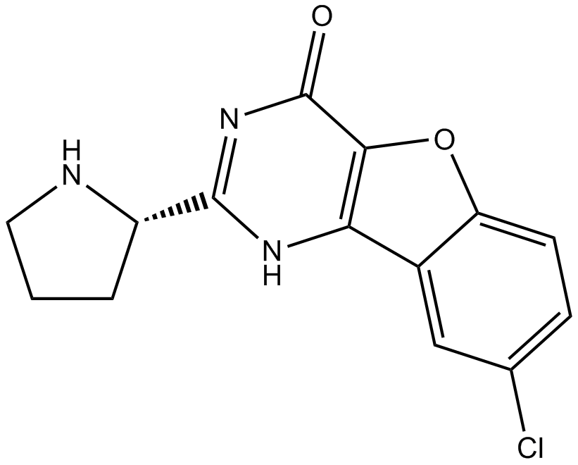 XL413ͼƬ