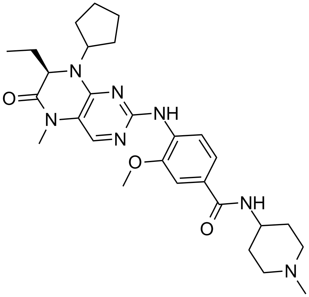 BI 2536ͼƬ