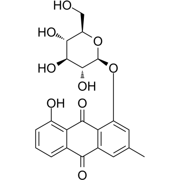 ChrysophaneinͼƬ