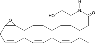 (±)10(11)-EDP Ethanolamide图片