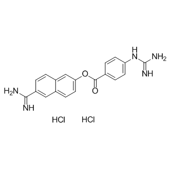 Nafamostat hydrochlorideͼƬ