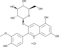 Peonidin 3-O-glucoside(chloride)ͼƬ