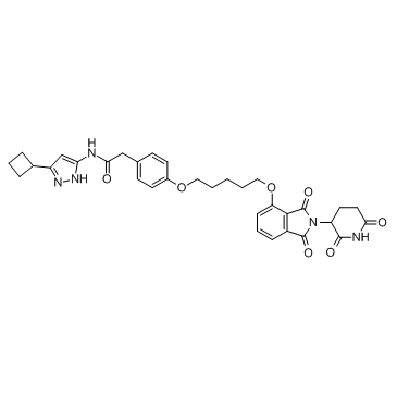 PROTAC CDK9 Degrader-1ͼƬ