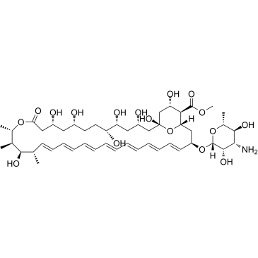 Amphotericin B methyl esterͼƬ