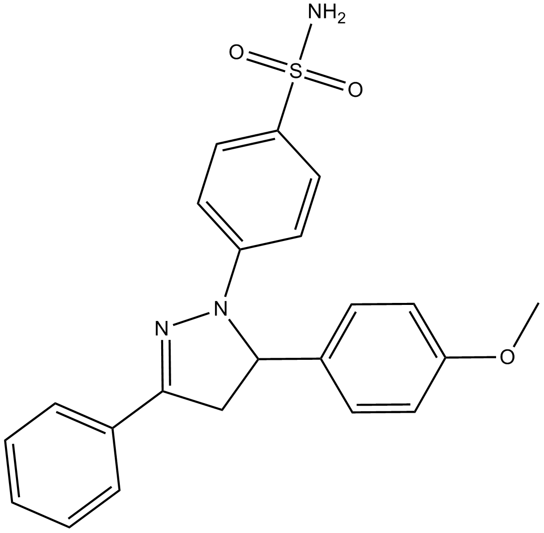 ML 141ͼƬ