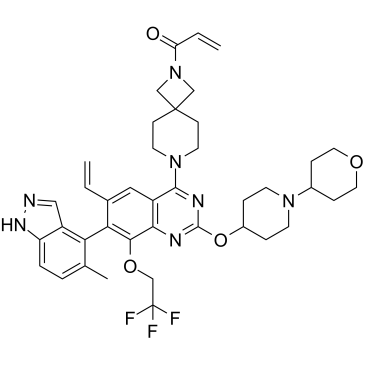 KRAS G12C inhibitor 13ͼƬ