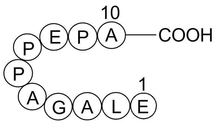 Beta-Lipotropin(1-10),porcineͼƬ