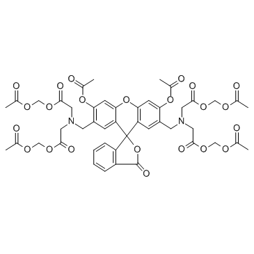 Calcein-AM(Calcein acetoxymethyl ester)ͼƬ