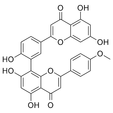 Podocarpusflavone AͼƬ