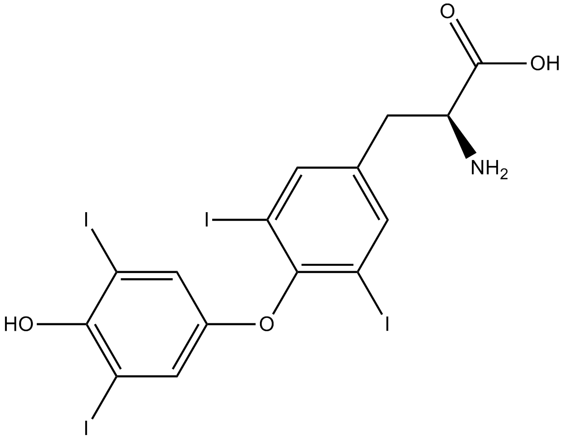 L-ThyroxineͼƬ