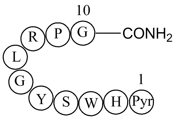 Luteinizing hormone releasing hormone human acetate salt(LHRH)图片