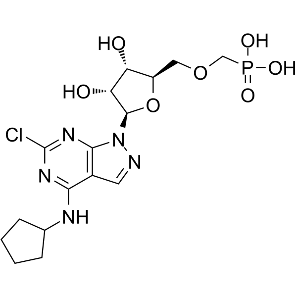 CD73-IN-4ͼƬ