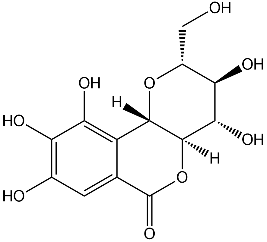 NorbergeninͼƬ