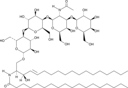 Ganglioside GM1 Asialo MixtureͼƬ