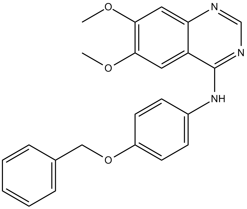 EGFR/ErbB2 InhibitorͼƬ